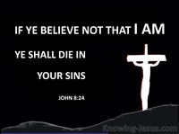 John 8:24